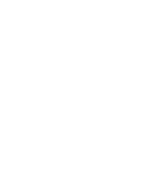 ”IMAGE”